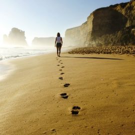 發(fā)展歷程 發(fā)展歷程